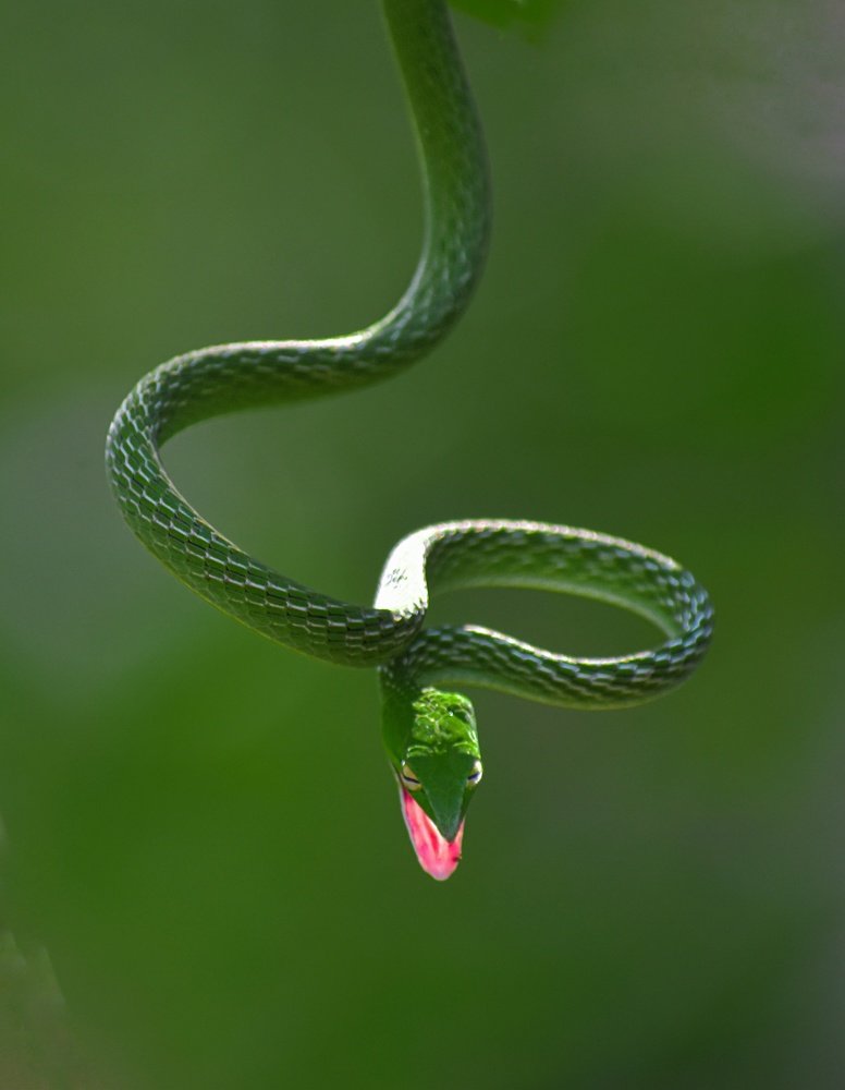 Photograph by MALLIKARJUN Manjari