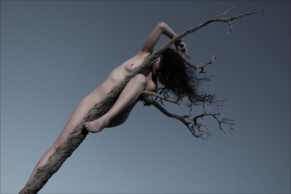 Плотью заговора