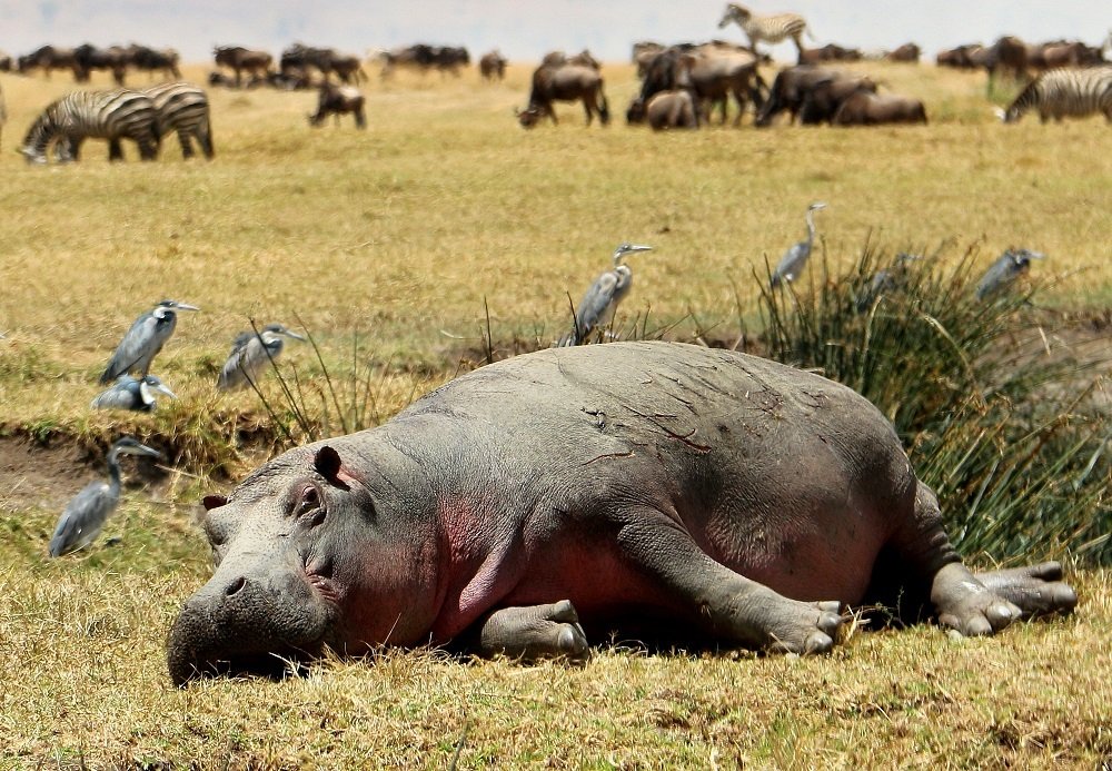 Photograph by Елена Ударцева