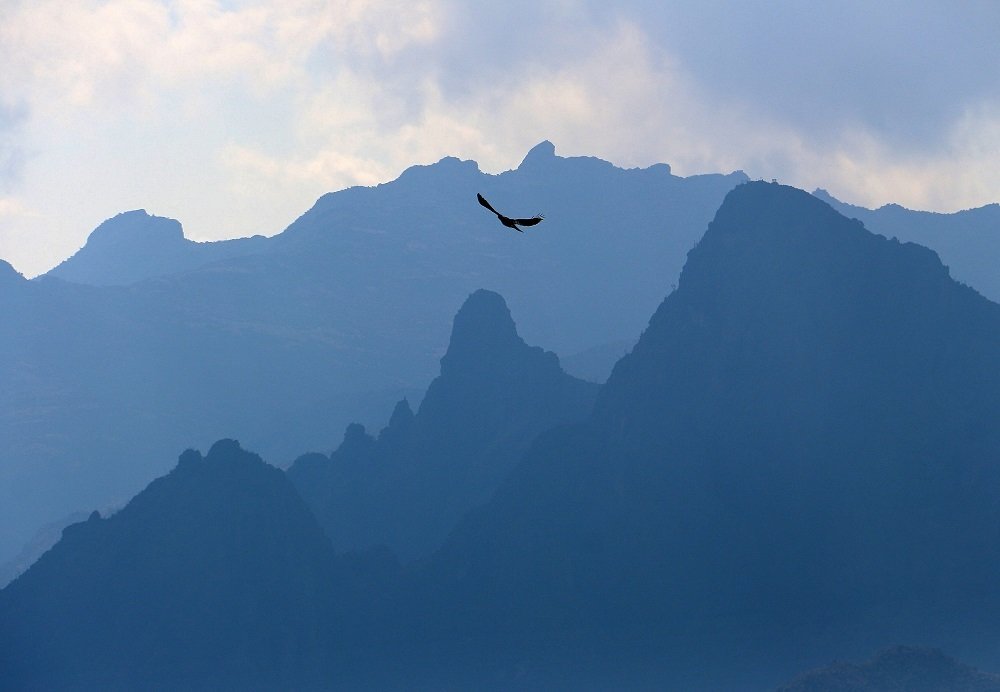 Photograph by Елена Ударцева