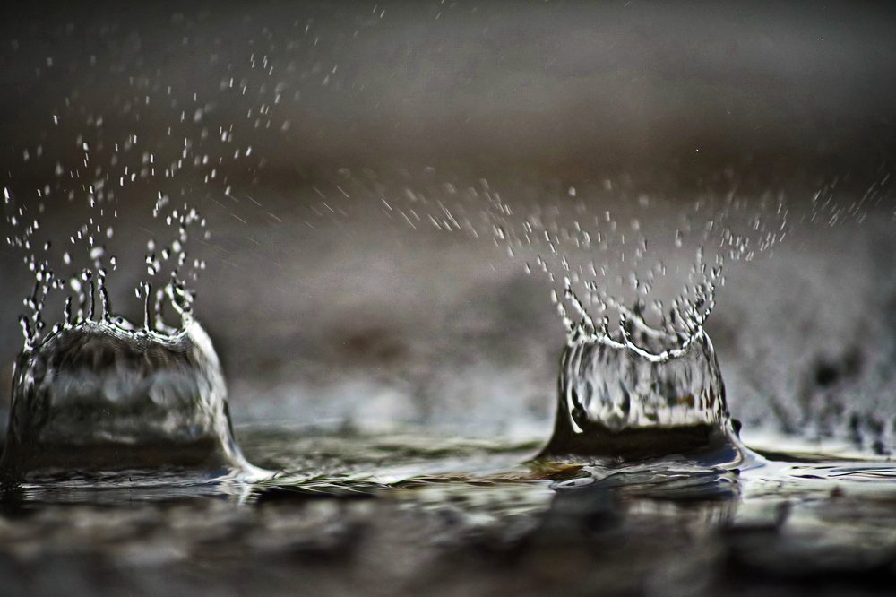 Photograph by Максим Двинин