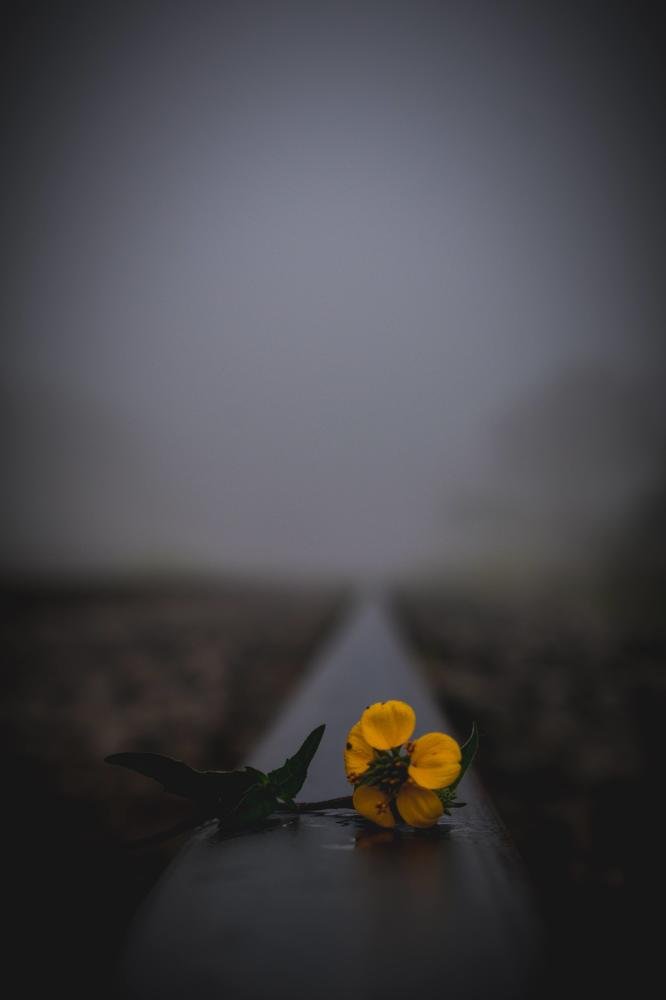 La simple naturaleza.