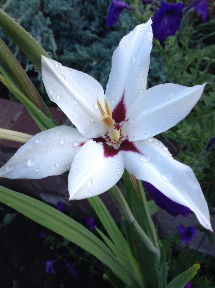 Photograph by Осипова Карина Александровна