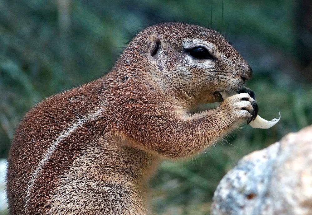 Photograph by Alexander Matschin