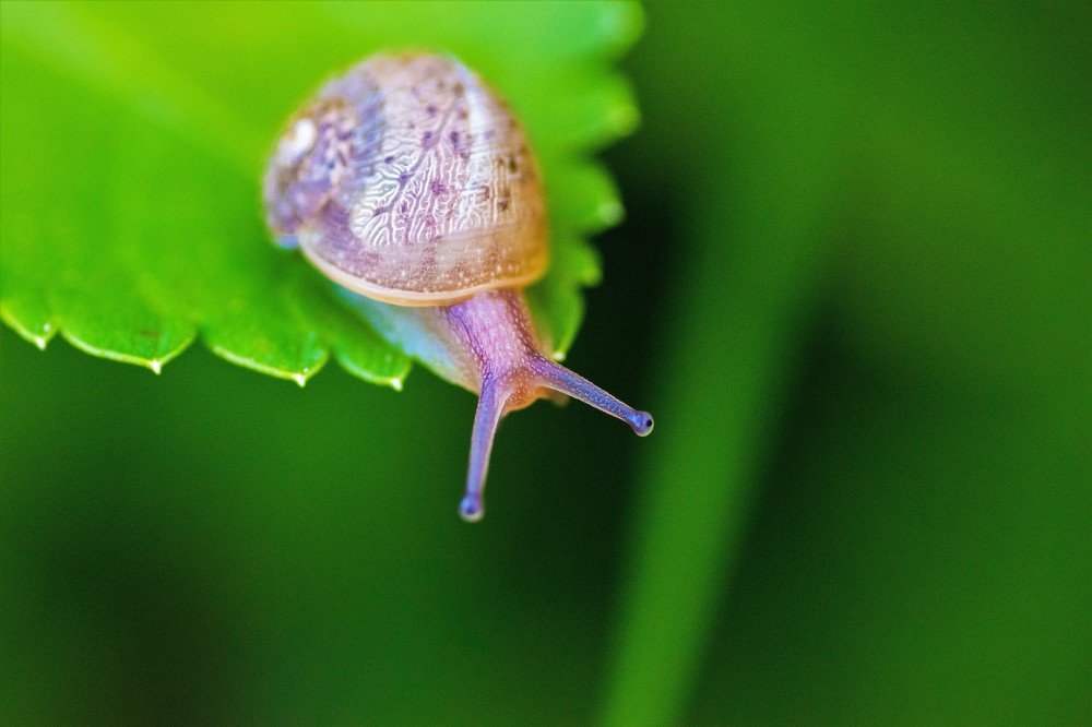 Photograph by Odysseas Christofides