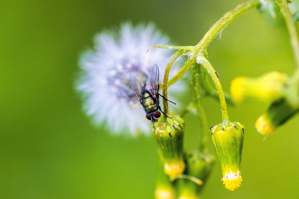 Photograph by Odysseas Christofides