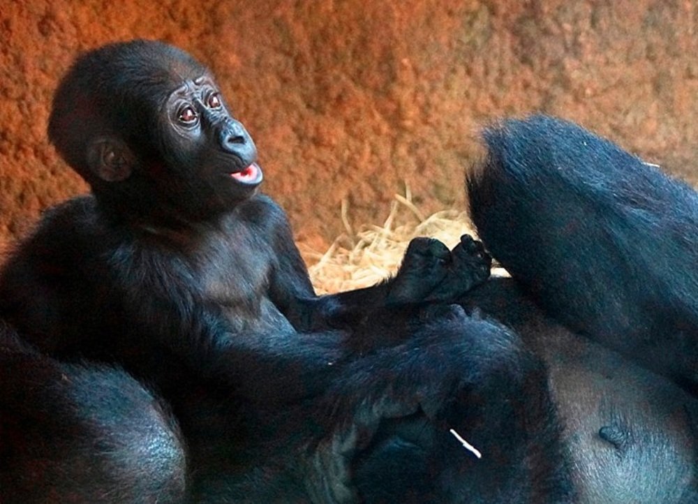 Photograph by Alexander Matschin