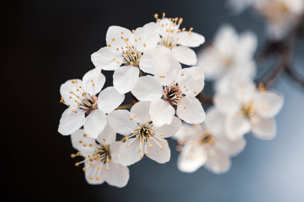 Photograph by Ioana Morosan