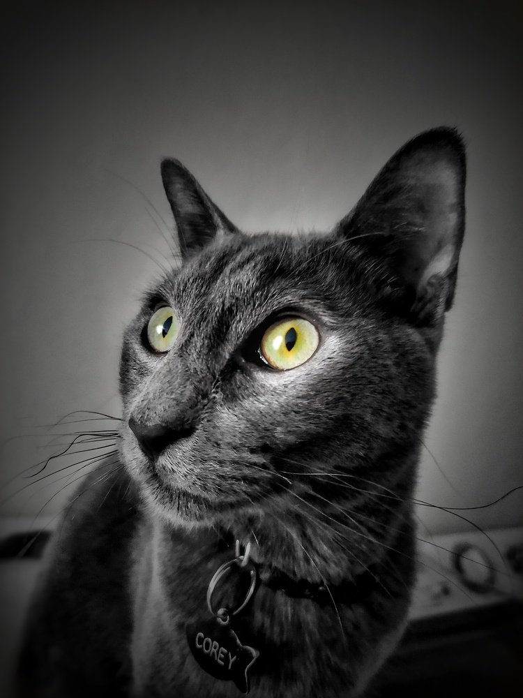 Photograph by ALEJANDRO MORELOS