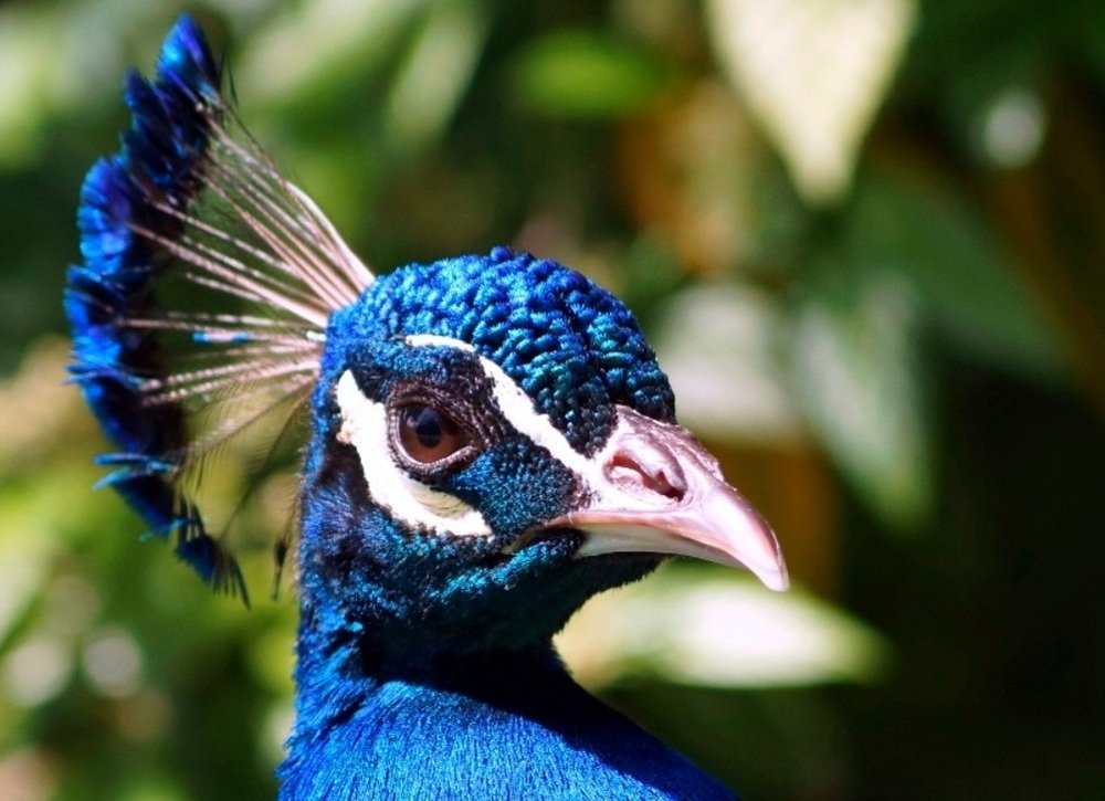 Photograph by Alexander Matschin