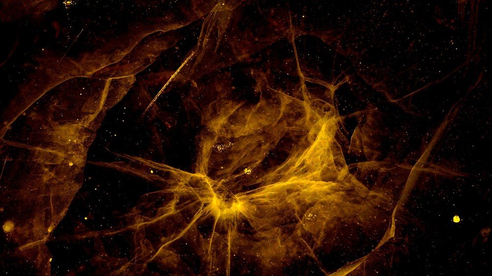 Фотография автора Александр Комаров