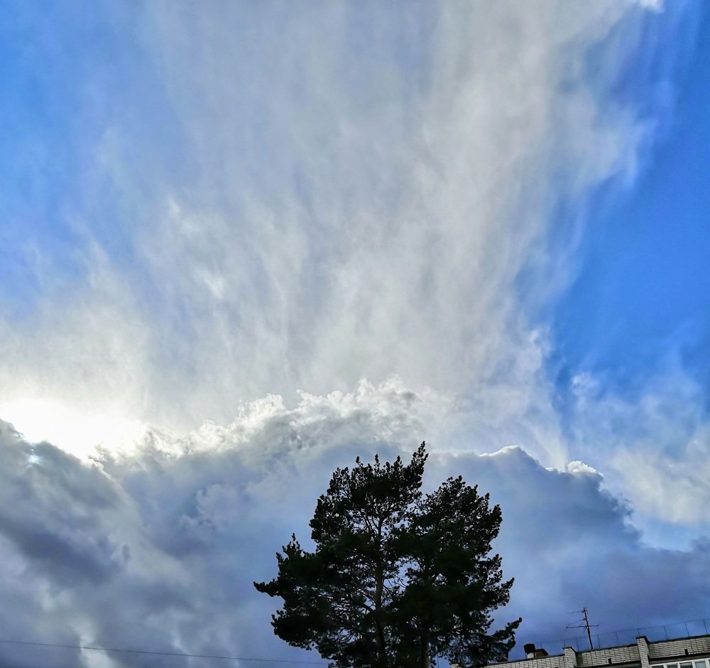 Photograph by Анатолий Плужников