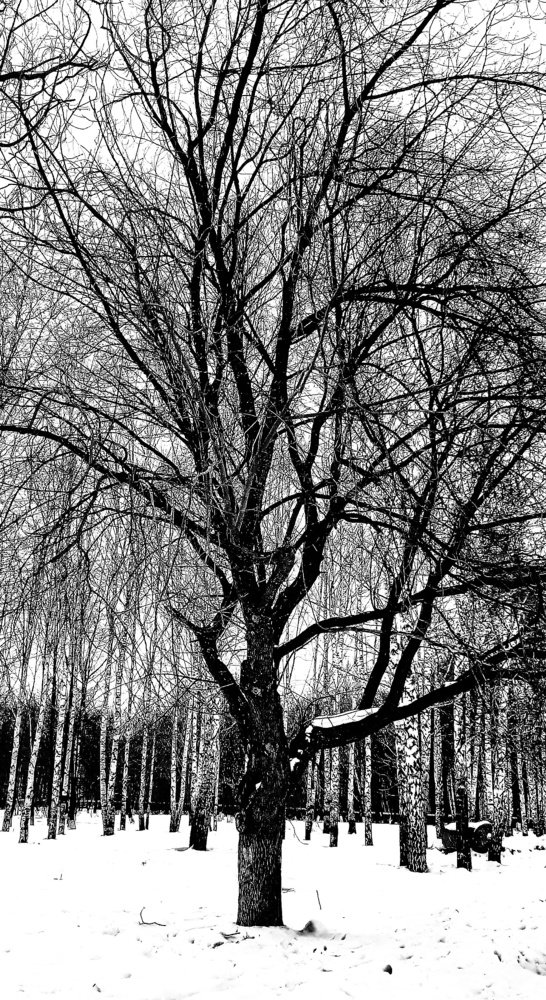 Photograph by Галина Мальцева
