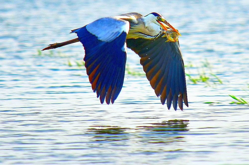 Photograph by Ahmet Bulut