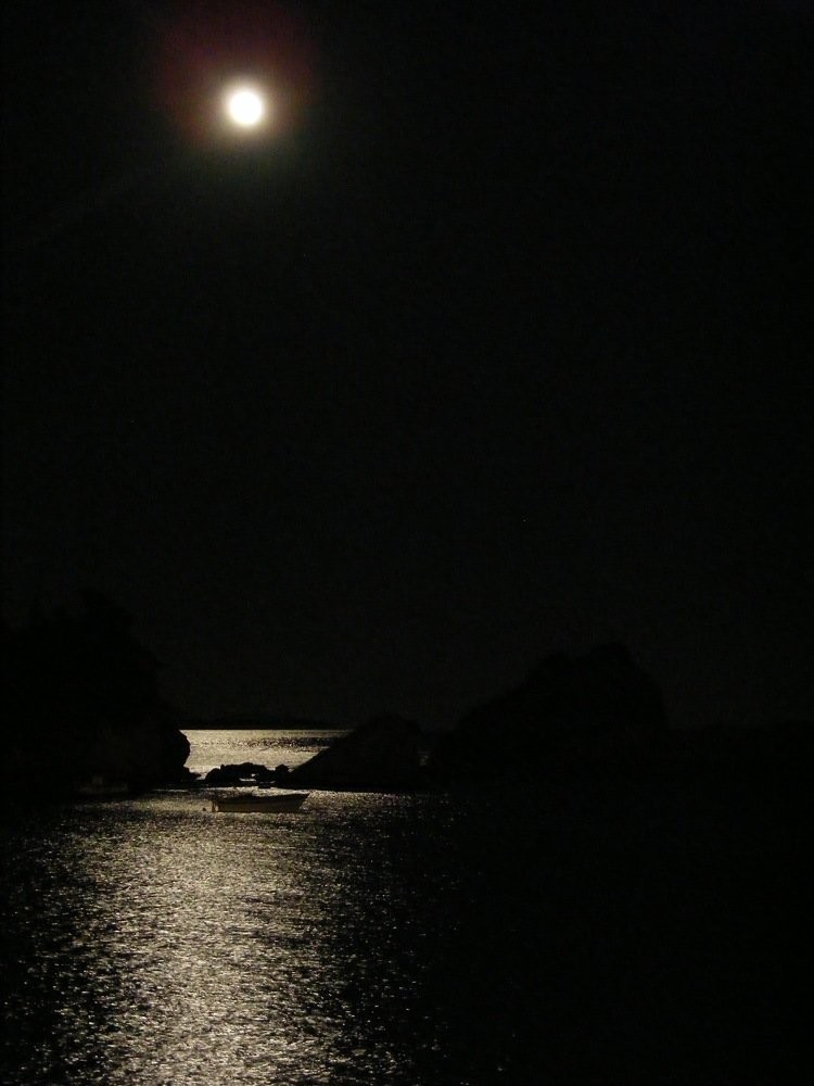 Photograph by Miodrag Bozovic