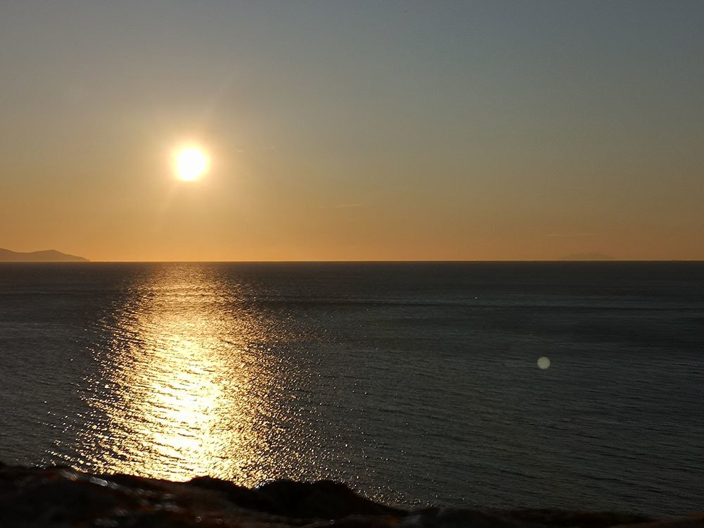 Photo #4505717