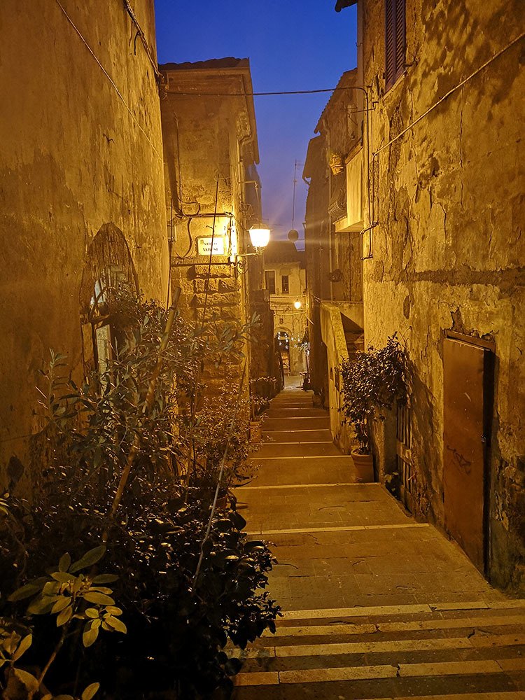 Photo #4505788