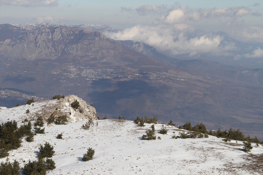 Вольные просторы