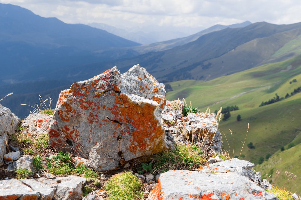 Photograph by Наталья Лягина