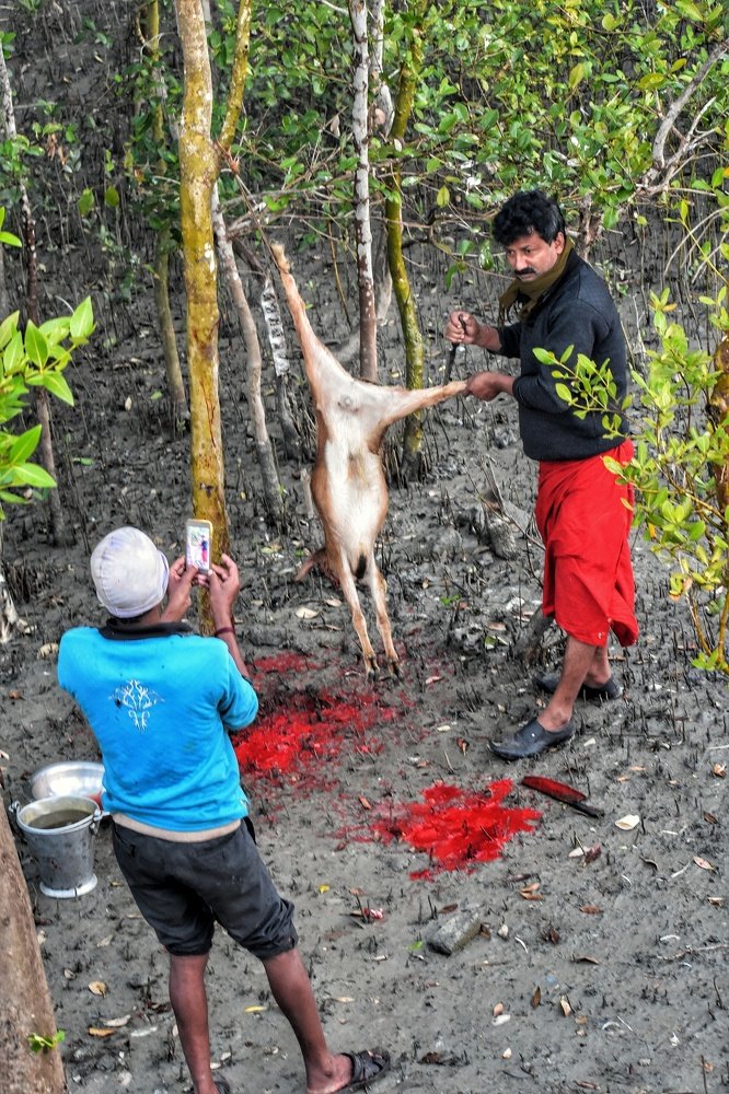 Photograph by  Asamanj Maiti