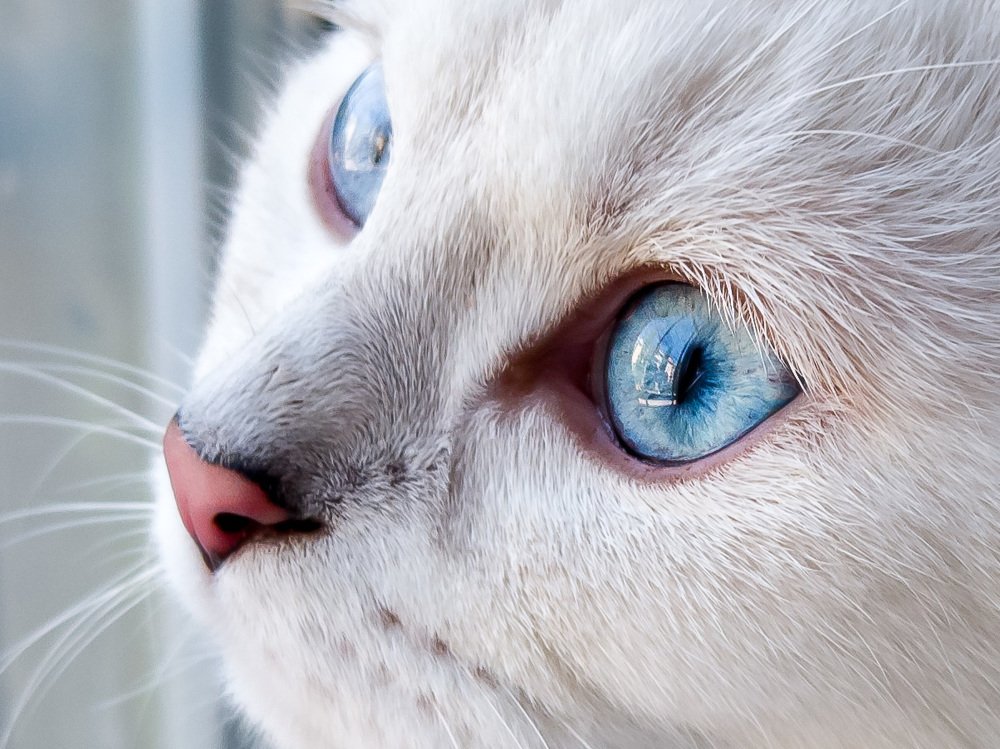 Photograph by Влад Корнев