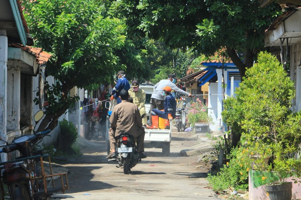 Фотография автора Ib Mang