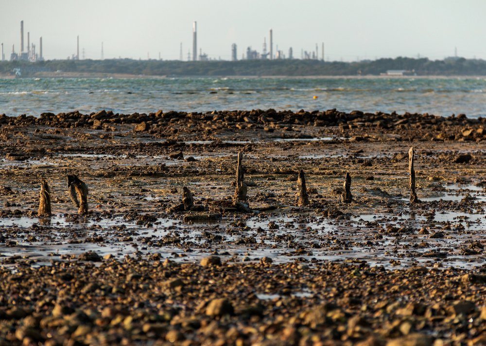 Photograph by Dmitri Sorokin