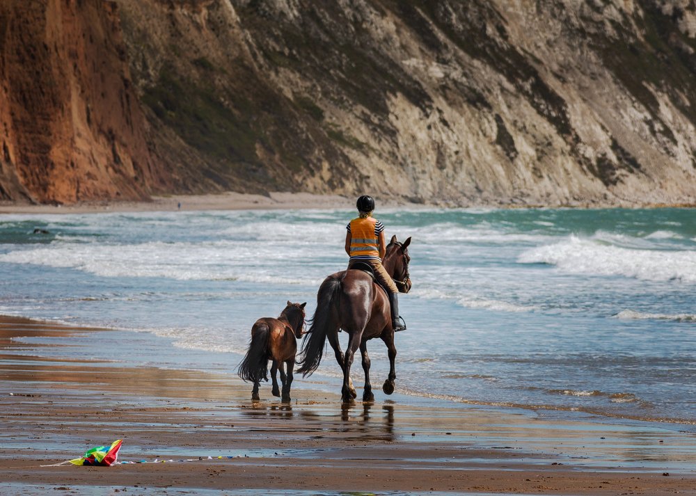 Photograph by Dmitri Sorokin