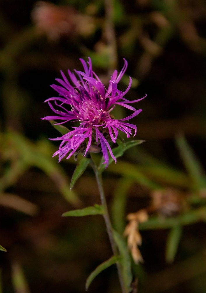 Photograph by Dmitri Sorokin