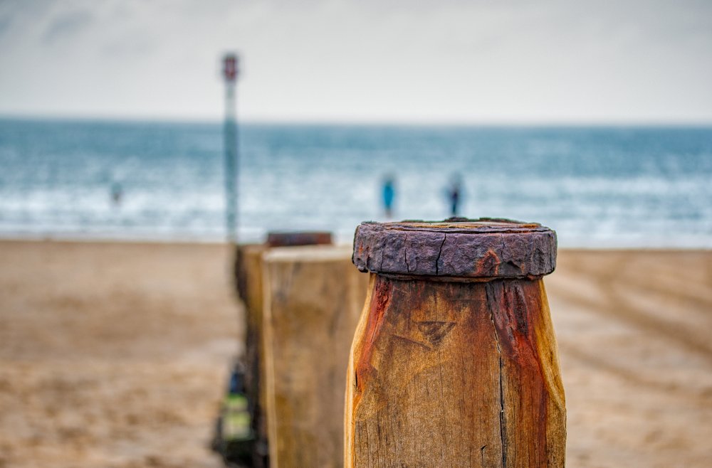 Photograph by Dmitri Sorokin