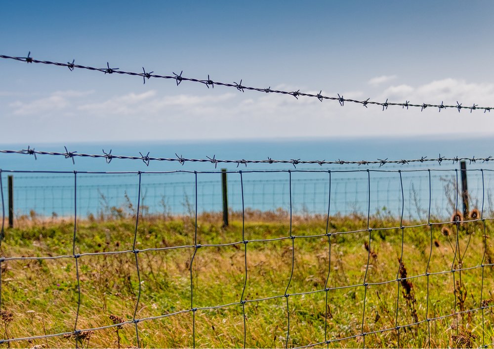 Photograph by Dmitri Sorokin