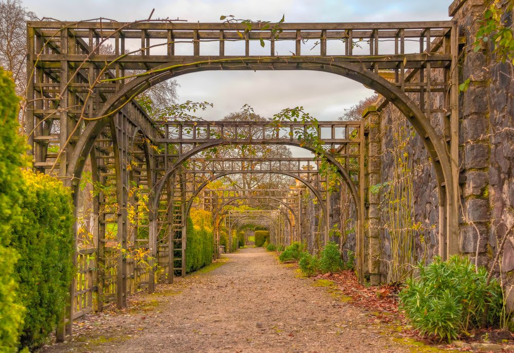 Photograph by Dmitri Sorokin