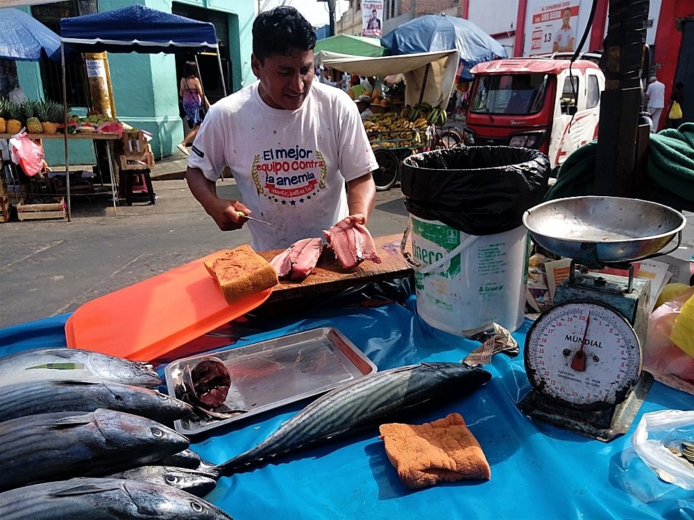 Photo #4506053