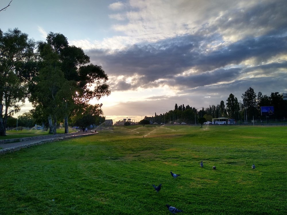 Photo #4506078