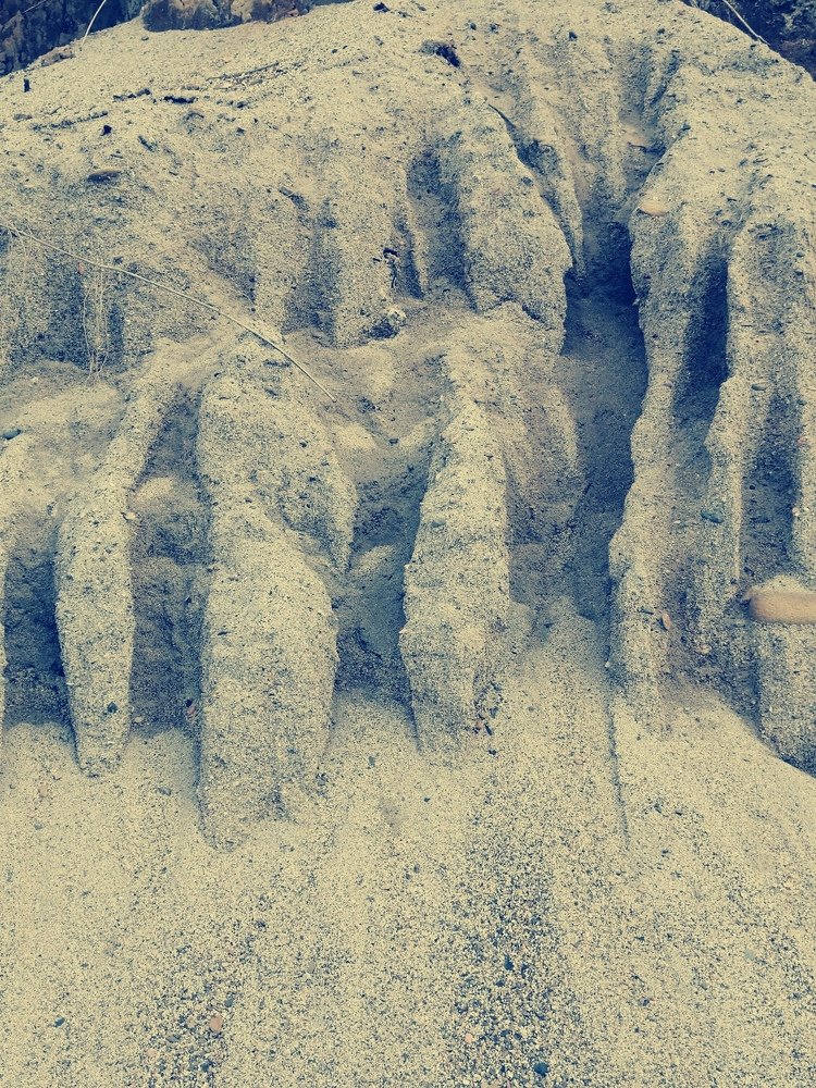 Photo #4506107