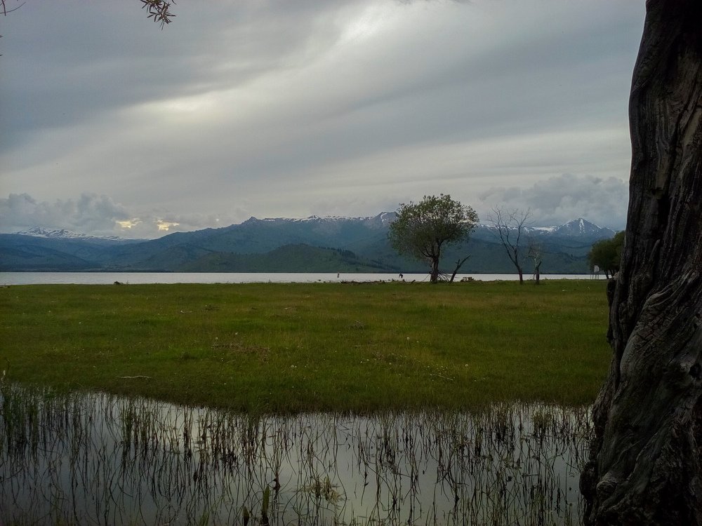 Фотография автора Сергей Ляшко