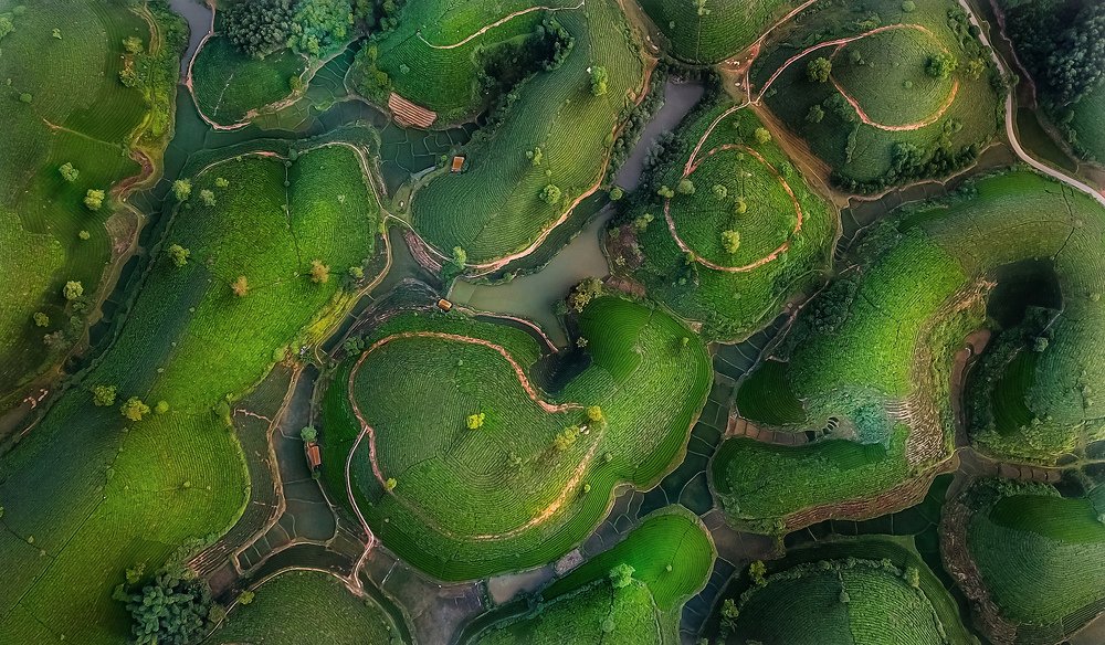 MIDLAND SOURCE CIRCUIT