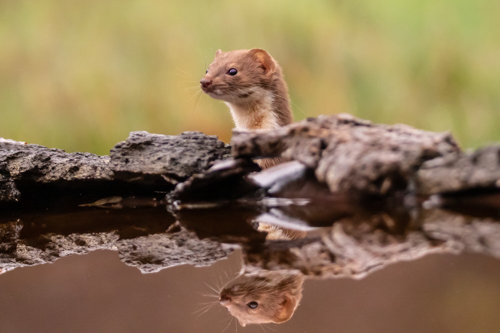 Photograph by Nikolay Stoyanov