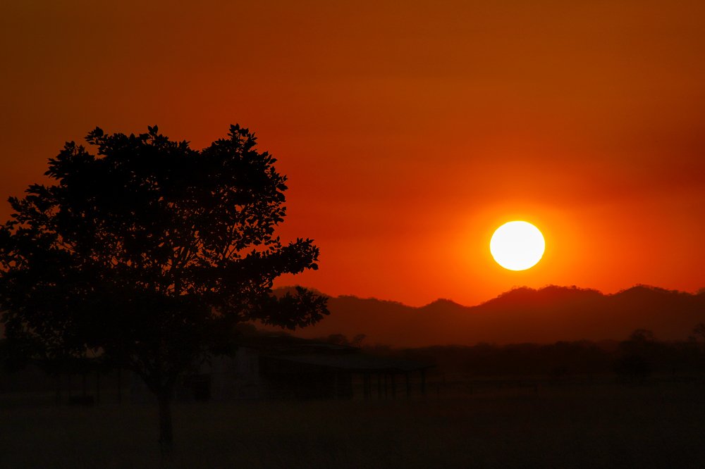 Photograph by Karol Campos