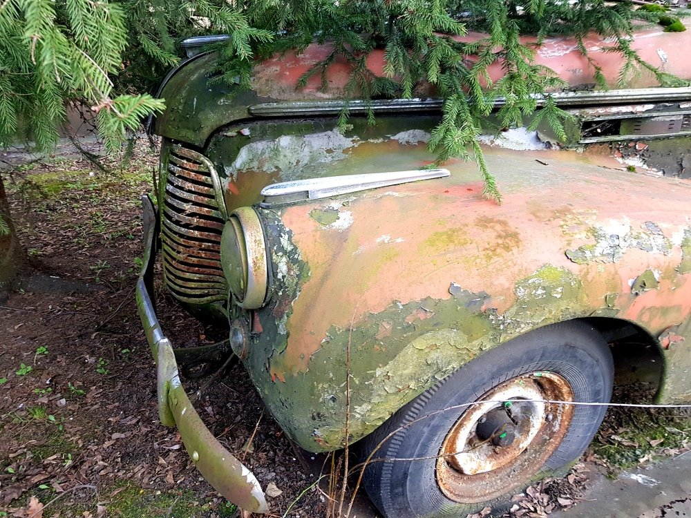 Хозяин покинул  подружку..