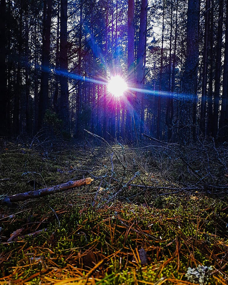 Photograph by Kristiina Soots