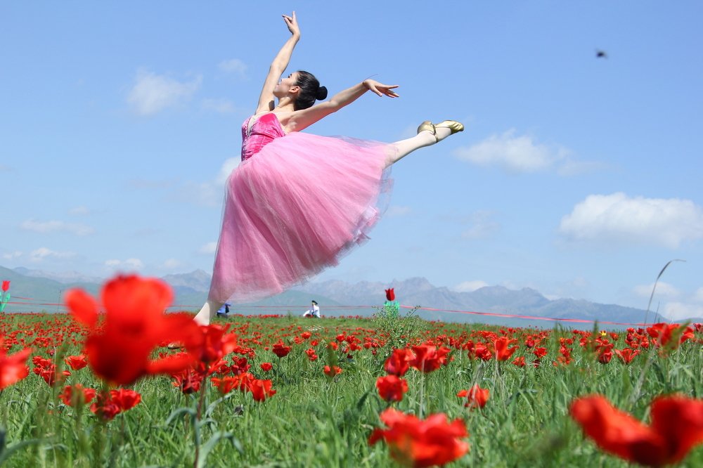 Photograph by Бейбит Бертаев