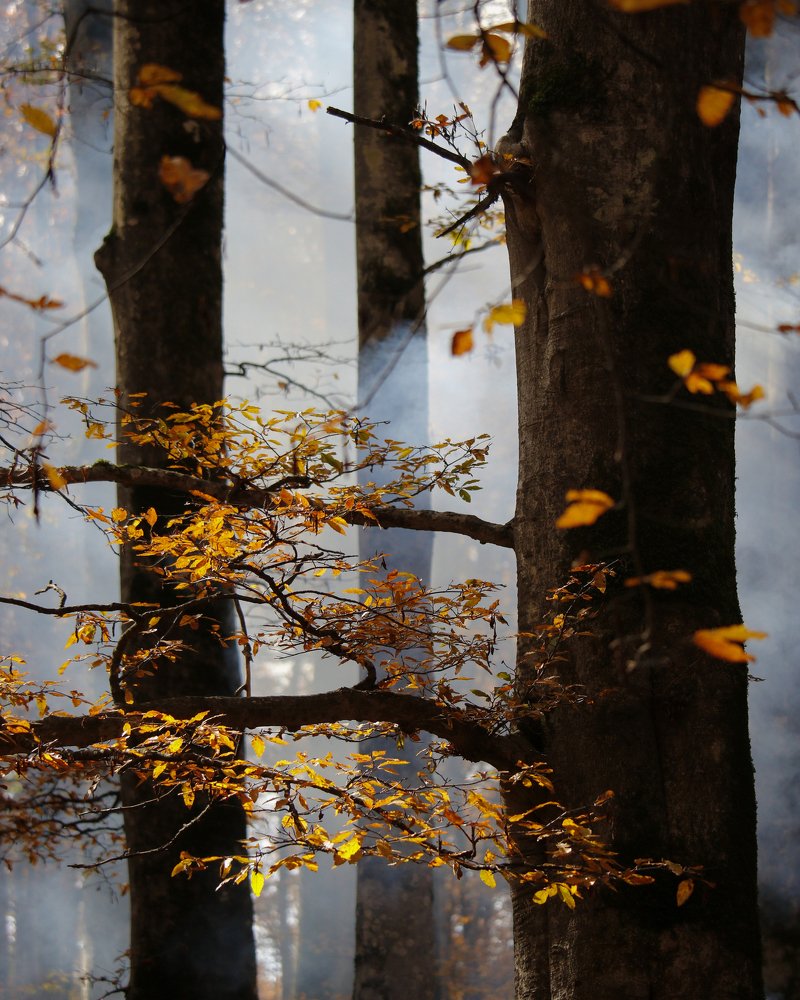 Photograph by Hossein Zeinali