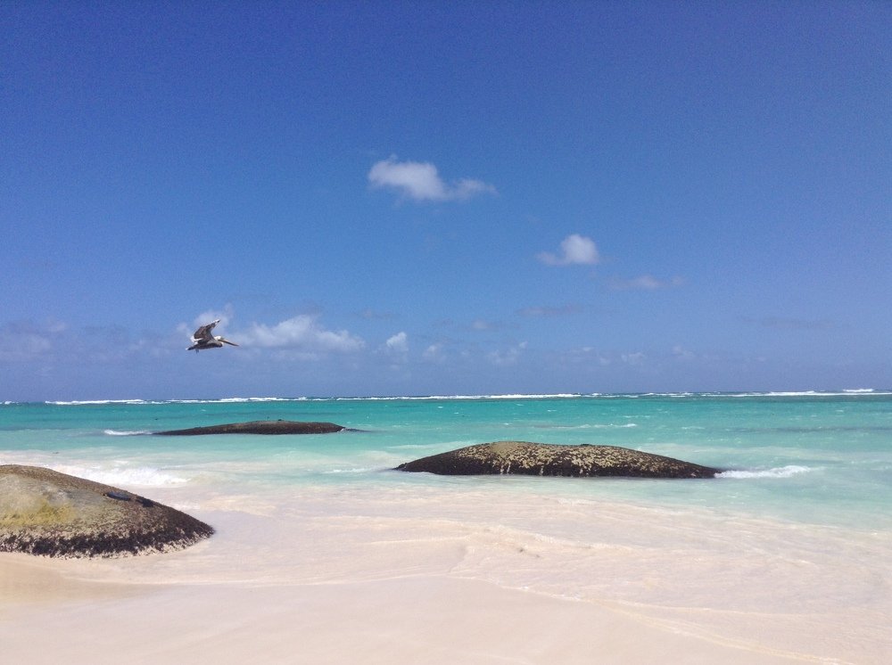 Photograph by Осипова Карина Александровна