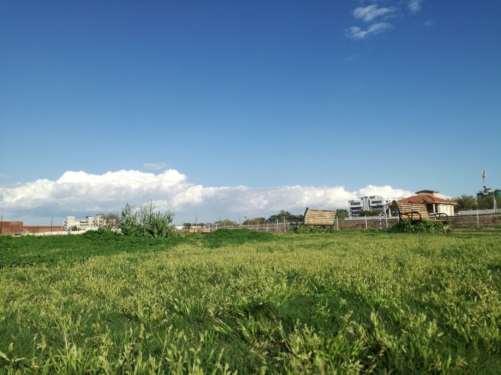 Photo #4506575