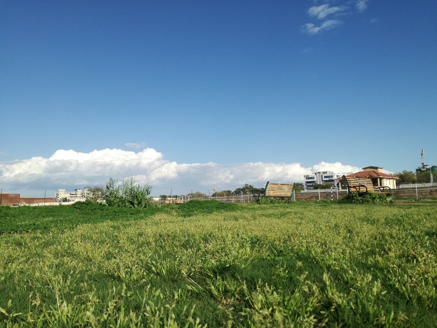 Photo #4506575