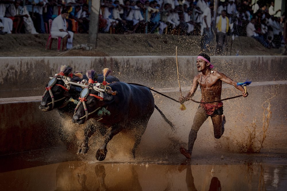 Photograph by Vinayaka Gujjar