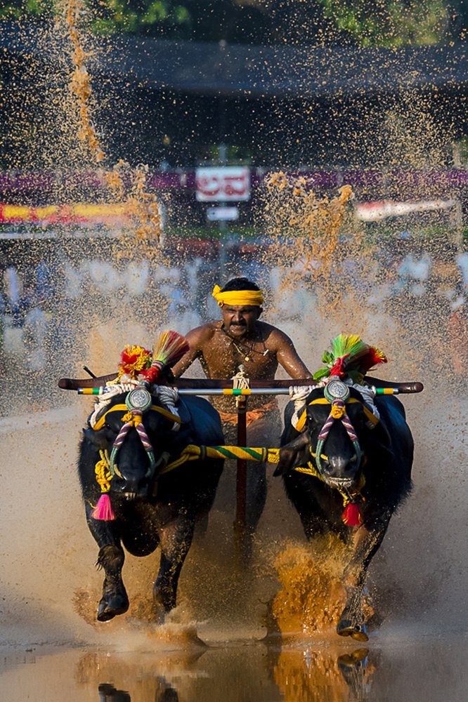 Photograph by Vinayaka Gujjar