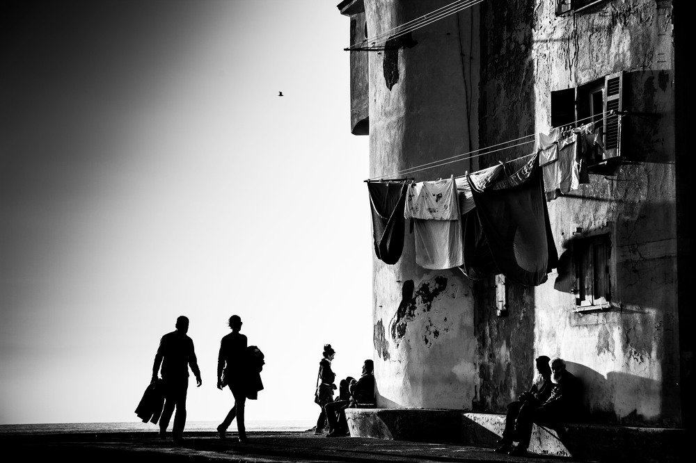 Photograph by Andrea Muscatello