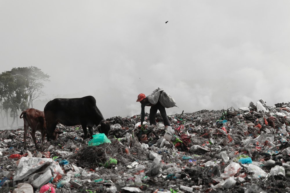 Фотография автора Anjum Mahir